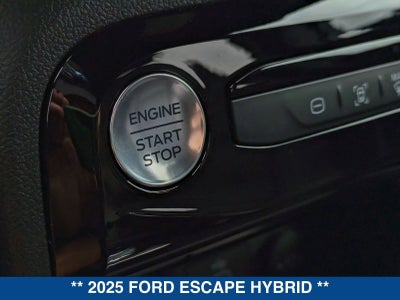 2025 Ford Escape Hybrid ST-Line