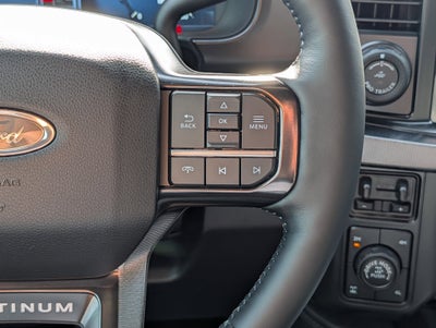 2026 Ford SUPER DUTY F-250 Platinum