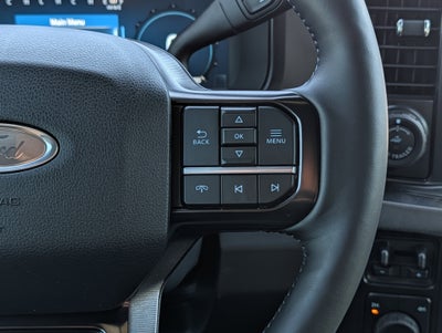 2026 Ford SUPER DUTY F-250 Platinum