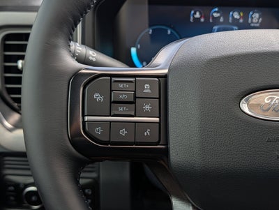 2026 Ford SUPER DUTY F-250 Platinum