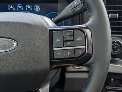 2026 Ford SUPER DUTY F-250 Platinum