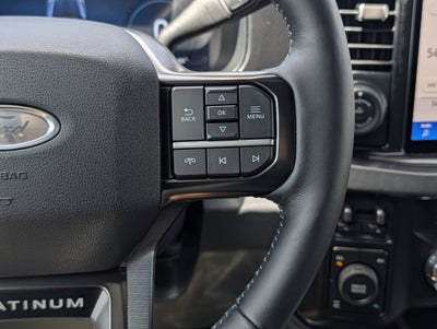 2026 Ford SUPER DUTY F-250 Platinum