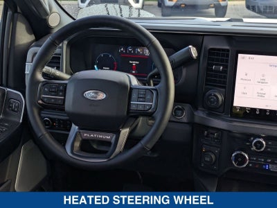 2025 Ford Super Duty F-250 SRW Platinum