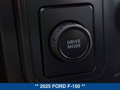 2025 Ford F-150 STX
