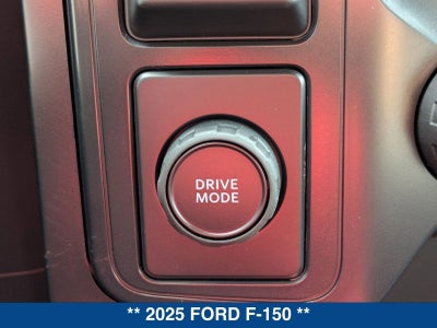2025 Ford F-150 STX