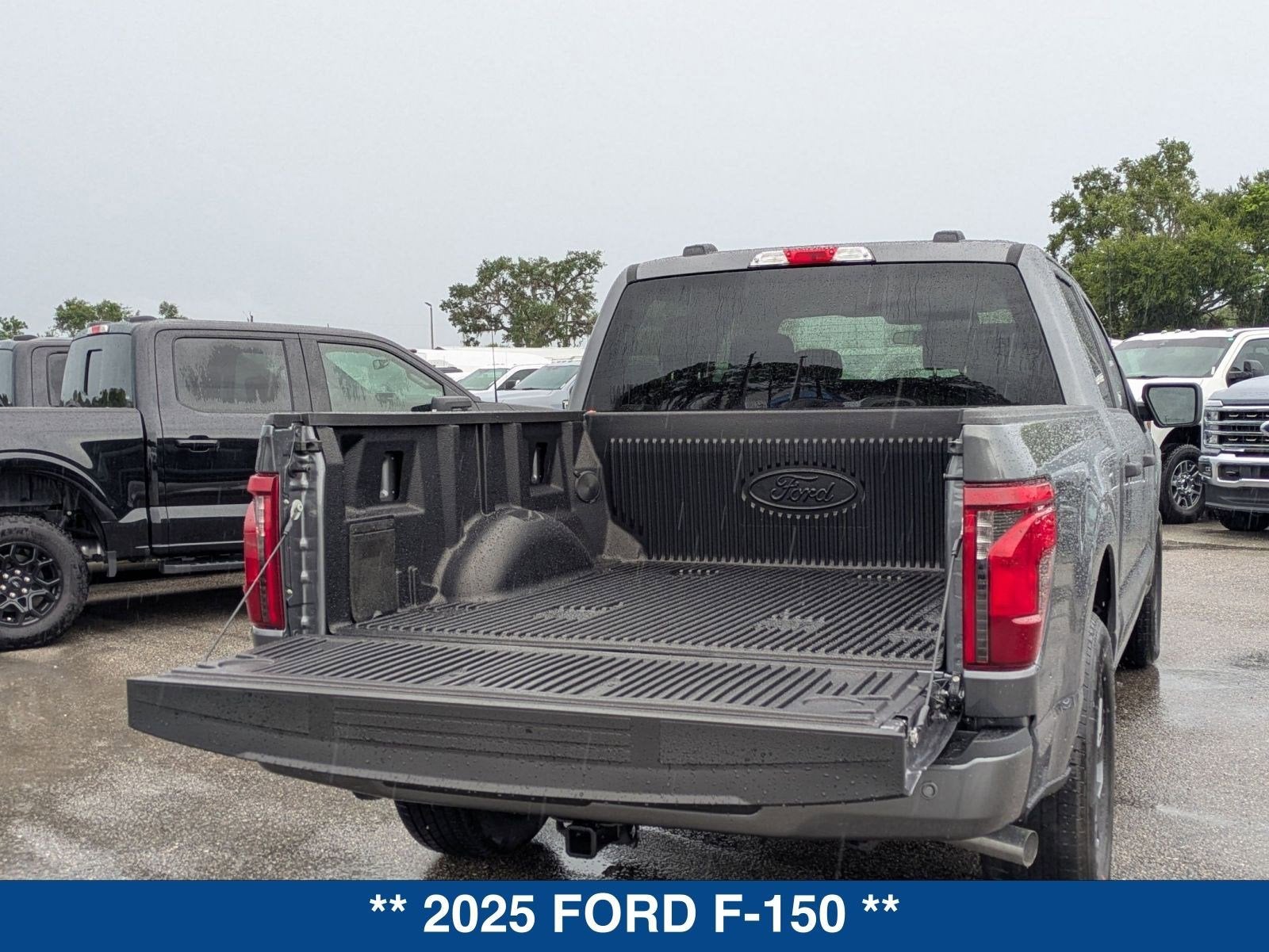 2025 Ford F-150 STX
