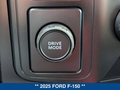 2025 Ford F-150 STX