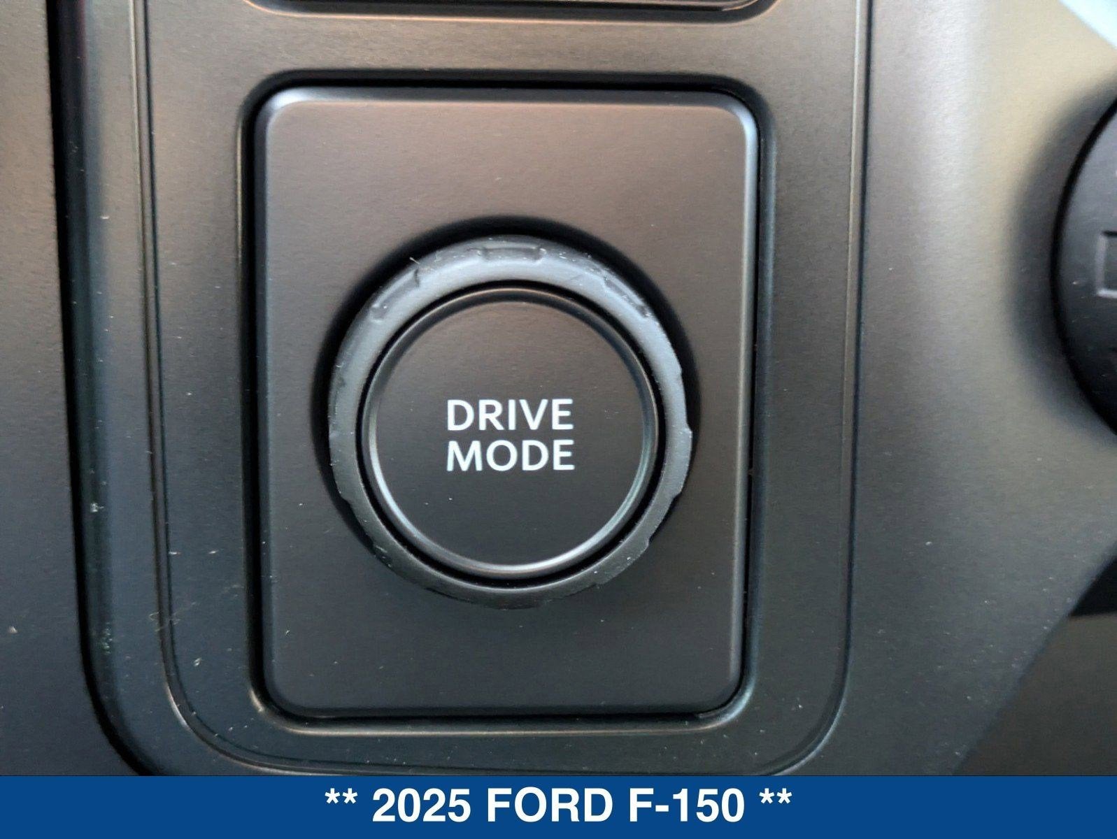 2025 Ford F-150 STX
