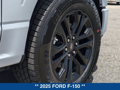 2025 Ford F-150 XLT