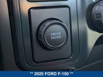 2025 Ford F-150 STX