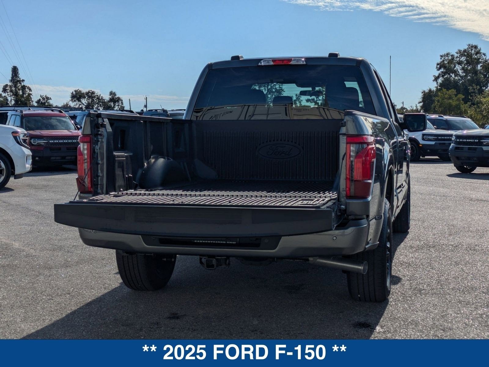 2025 Ford F-150 STX