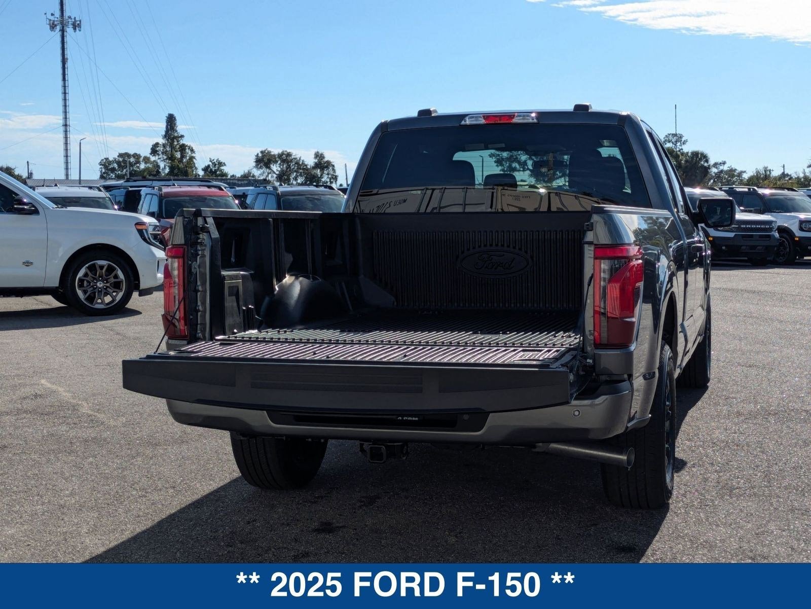 2025 Ford F-150 STX