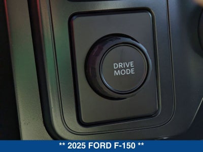 2025 Ford F-150 STX