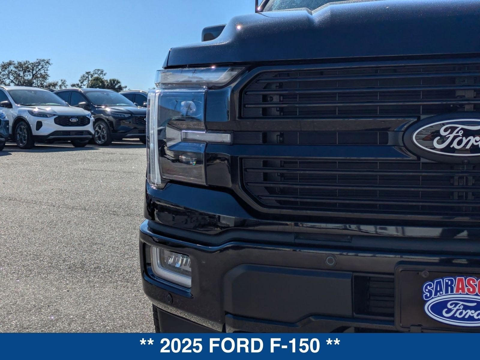 2025 Ford F-150 Platinum