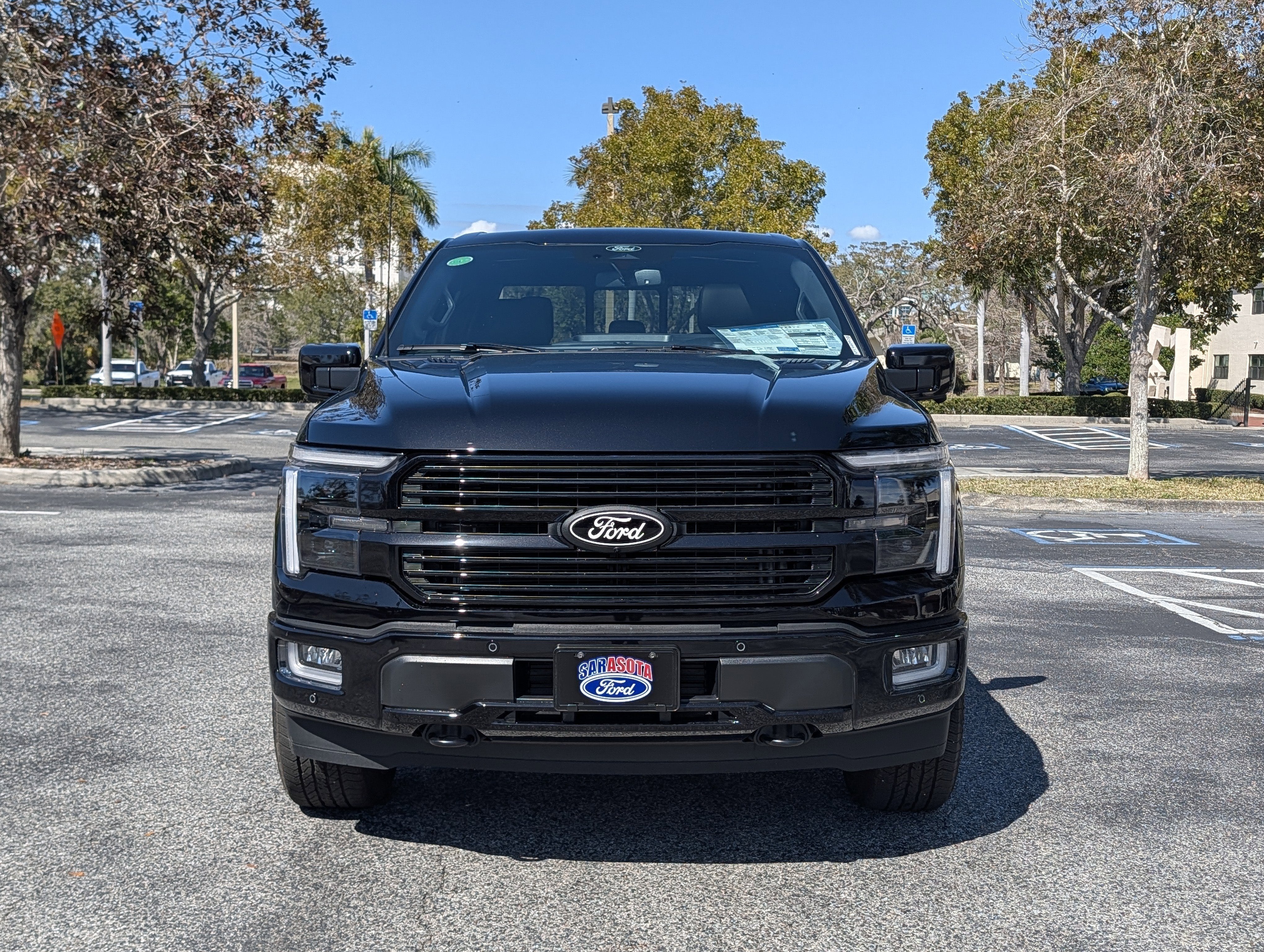 2025 Ford F-150 Platinum