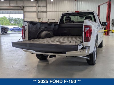 2025 Ford F-150 XL