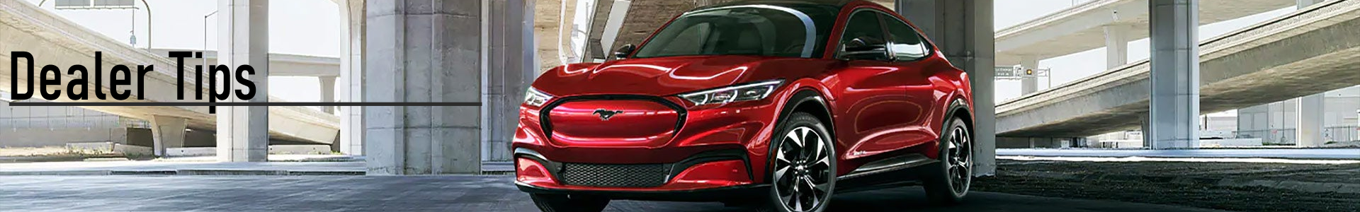 Sarasota Ford in Sarasota FL